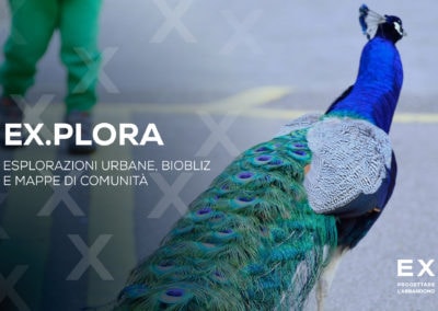 Ex.plora